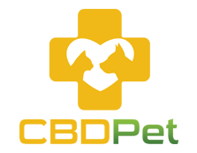 CBD Oil for Pets
